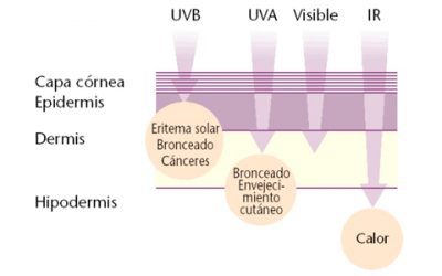 Protege tu piel con fotoprotector